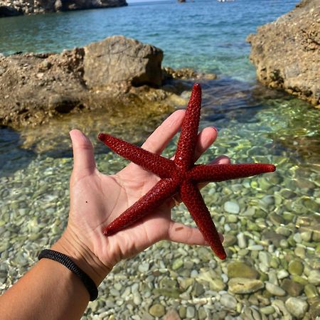 Appartamento Barone Castellammare del Golfo Luaran gambar